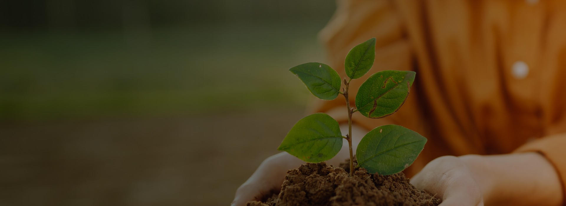 Laboratório de Solos, Águas, Erva-mate e Alimentos